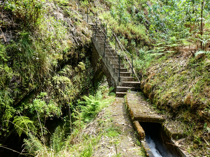 9 May 2019 Walk along the varied Levada Velha das Canhas — Back the same way — photo 9