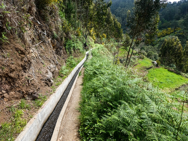 9 May 2019 Walk along the varied Levada Velha das Canhas — Back the same way — photo 11