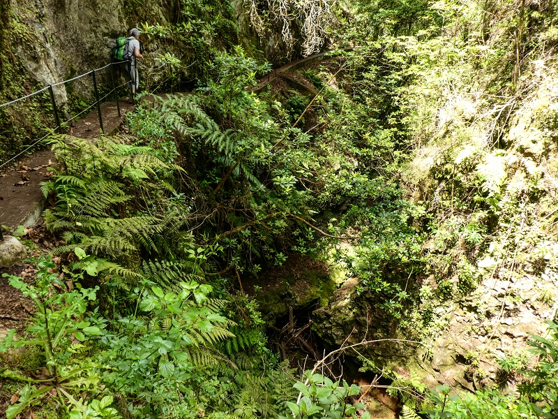 9 May 2019 Walk along the varied Levada Velha das Canhas — Back the same way — photo 12