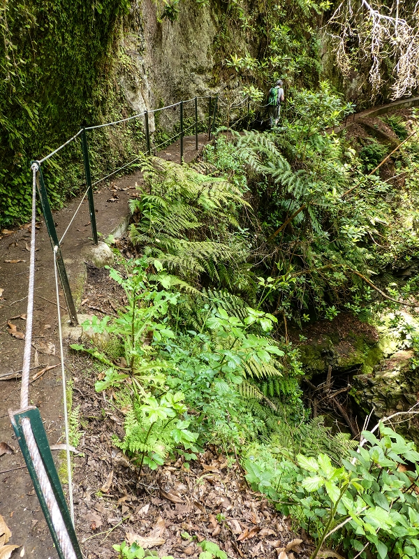 9 May 2019 Walk along the varied Levada Velha das Canhas — Back the same way — photo 13