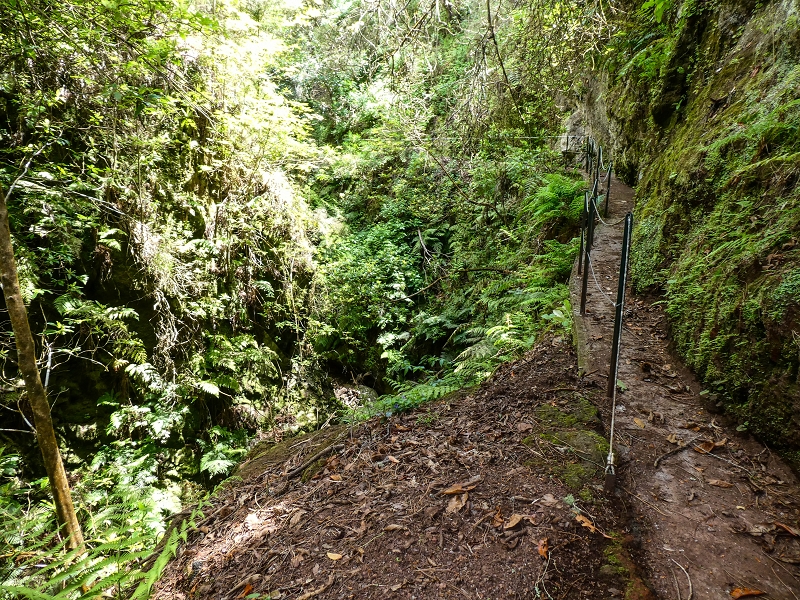 9 May 2019 Walk along the varied Levada Velha das Canhas — Back the same way — photo 14