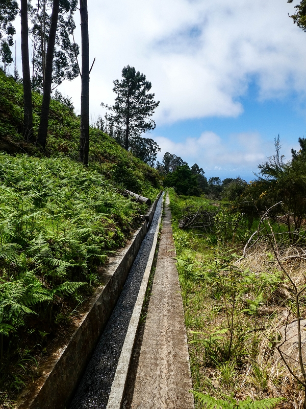 9 May 2019 Walk along the varied Levada Velha das Canhas — Back the same way — photo 16