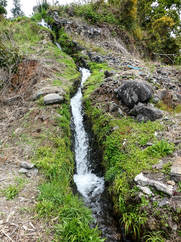 9 May 2019 Walk along the varied Levada Velha das Canhas — Back the same way — photo 26