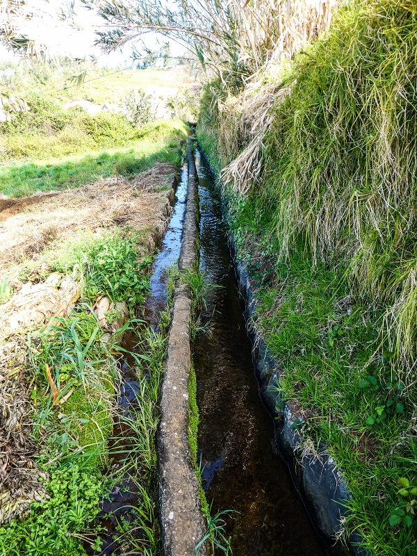 9 May 2019 Walk along the varied Levada Velha das Canhas — Start of the obstacle course between the houses — photo 5