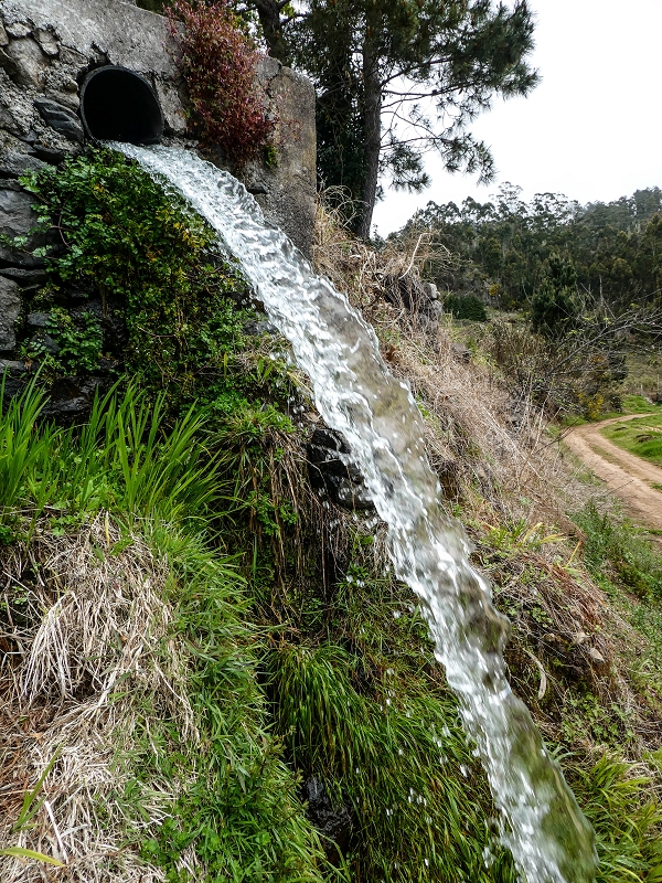 9 May 2019 Walk along the varied Levada Velha das Canhas — Back the same way — photo 28