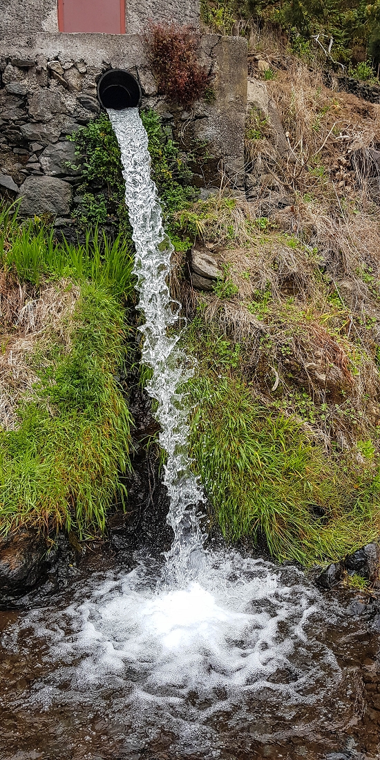 9 May 2019 Walk along the varied Levada Velha das Canhas — Back the same way — photo 29