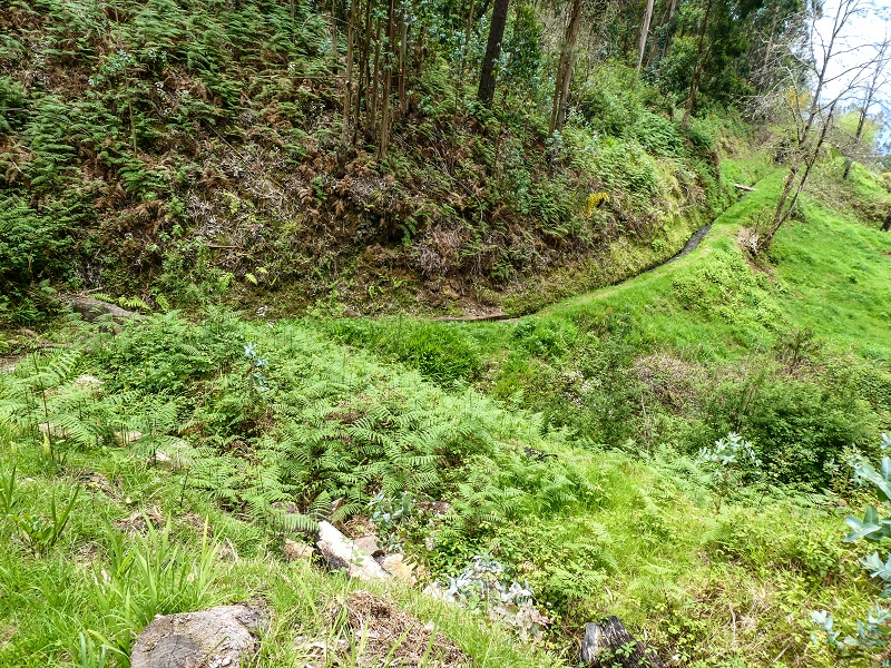 9 May 2019 Walk along the varied Levada Velha das Canhas — Back the same way — photo 32
