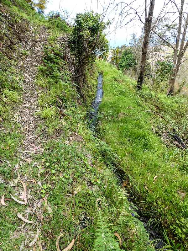 9 May 2019 Walk along the varied Levada Velha das Canhas — Back the same way — photo 33