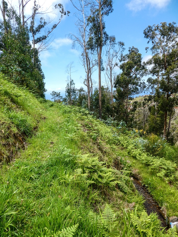 9 May 2019 Walk along the varied Levada Velha das Canhas — Back the same way — photo 34