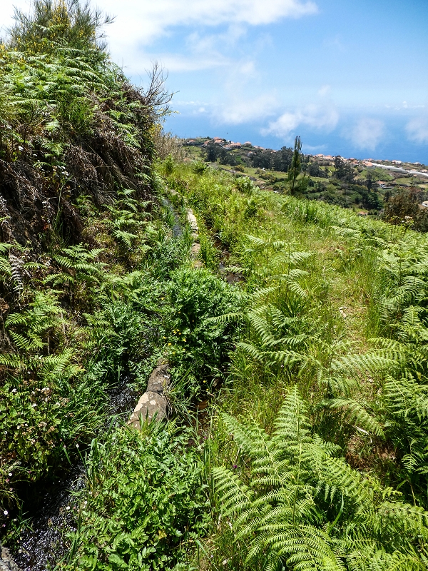 9 May 2019 Walk along the varied Levada Velha das Canhas — Back the same way — photo 36