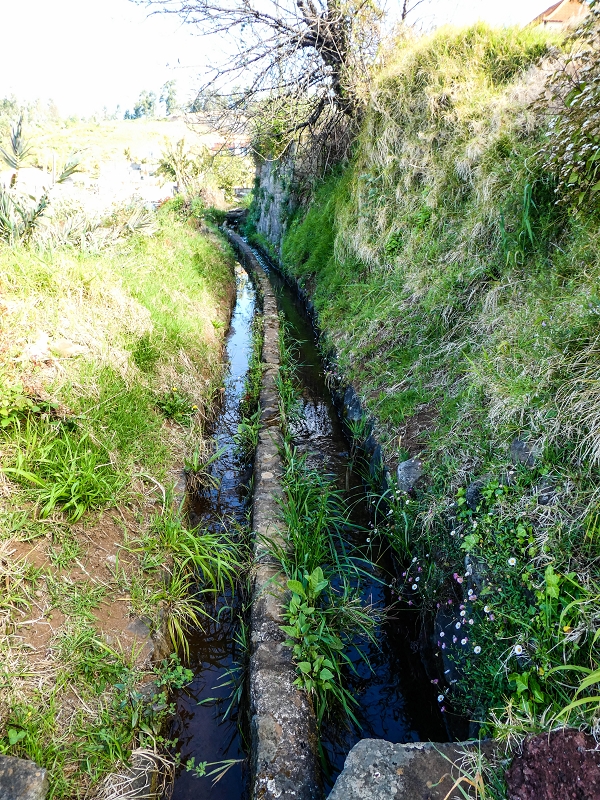9 May 2019 Walk along the varied Levada Velha das Canhas — Start of the obstacle course between the houses — photo 6