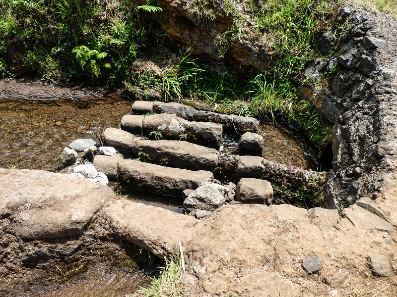 9 May 2019 Walk along the varied Levada Velha das Canhas — From here on the Levada Nova dos Canhas — photo 1