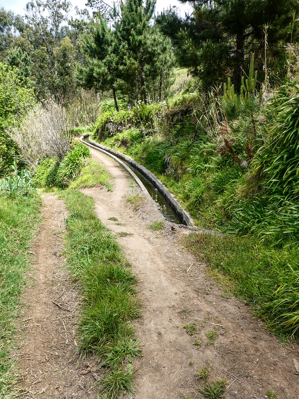 9 May 2019 Walk along the varied Levada Velha das Canhas — From here on the Levada Nova dos Canhas — photo 2
