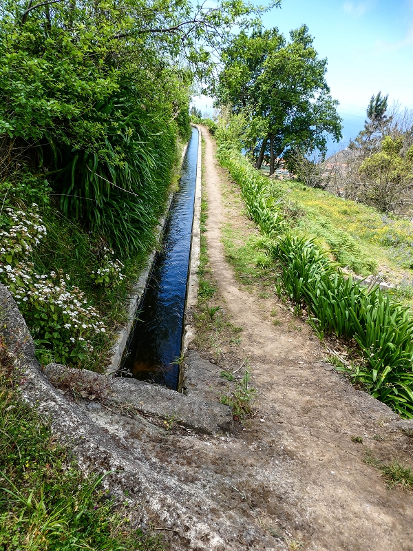 9 May 2019 Walk along the varied Levada Velha das Canhas — From here on the Levada Nova dos Canhas — photo 3