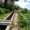 9 May 2019 Walk along the varied Levada Velha das Canhas — From here on the Levada Nova dos Canhas — photo 4