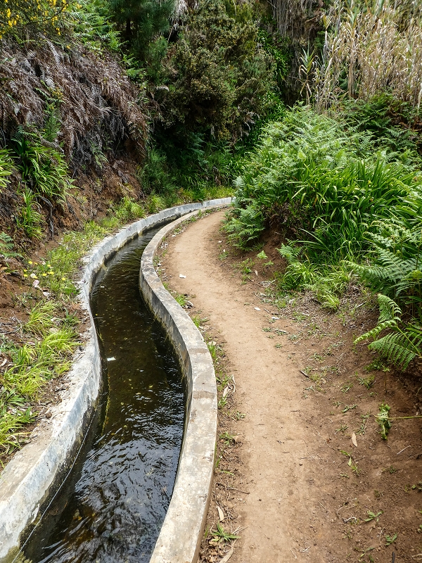 9 May 2019 Walk along the varied Levada Velha das Canhas — From here on the Levada Nova dos Canhas — photo 5