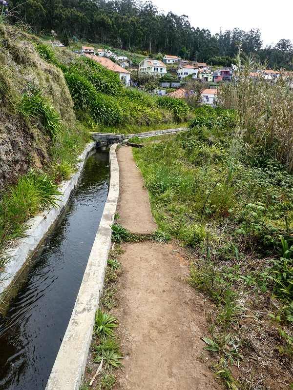 9 May 2019 Walk along the varied Levada Velha das Canhas — From here on the Levada Nova dos Canhas — photo 6