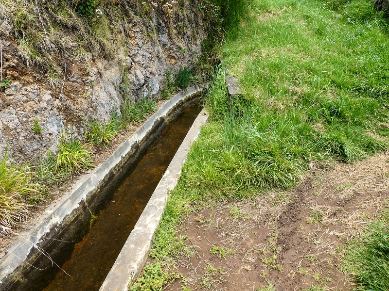 9 May 2019 Walk along the varied Levada Velha das Canhas — From here on the Levada Nova dos Canhas — photo 7