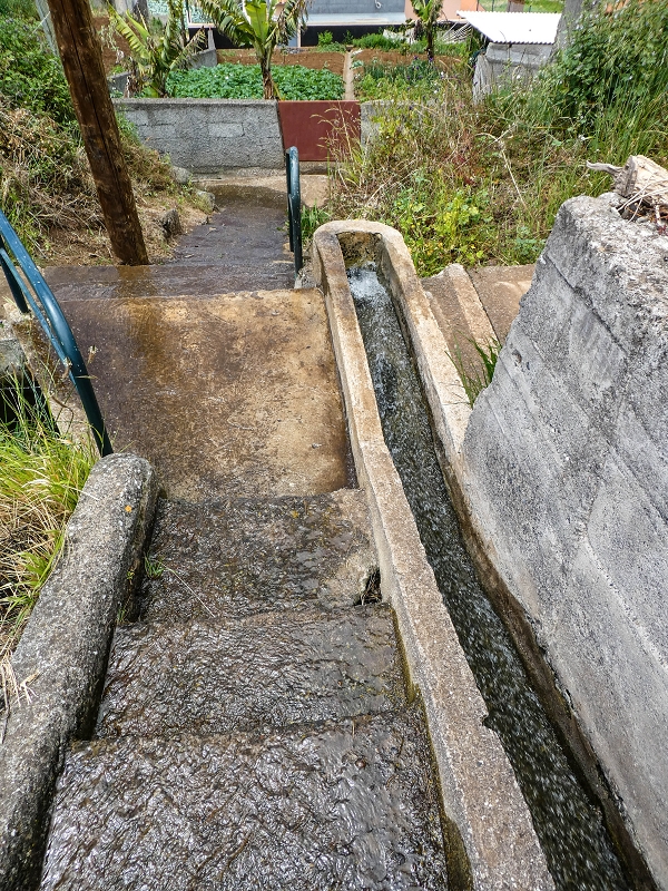 9 May 2019 Walk along the varied Levada Velha das Canhas — From here on the Levada Nova dos Canhas — photo 11