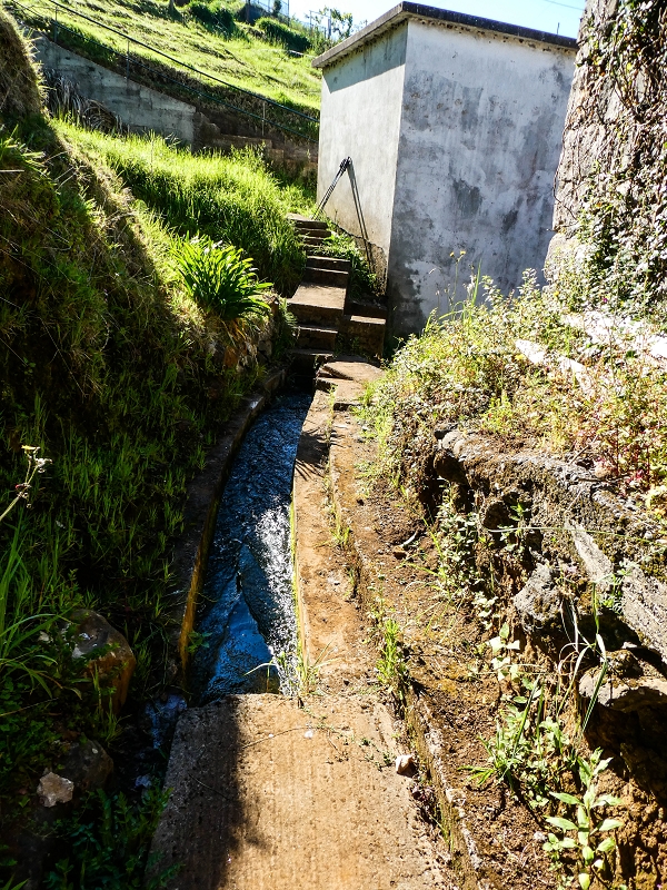 9 May 2019 Walk along the varied Levada Velha das Canhas — Access to the reservoir of the Levada Nova de Canhas — photo 3