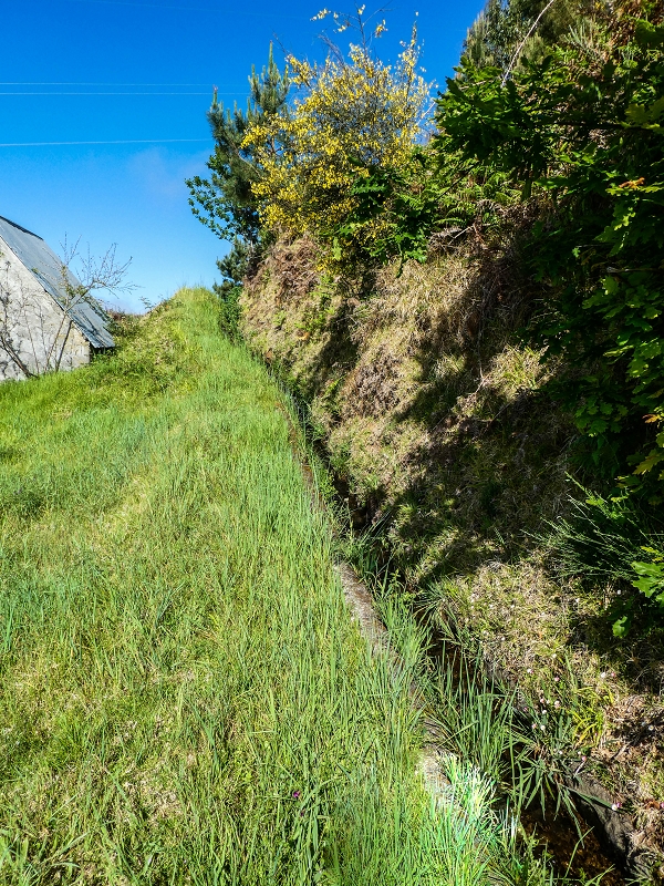 9 May 2019 Walk along the varied Levada Velha das Canhas — Meadow section, partly impassable — photo 2