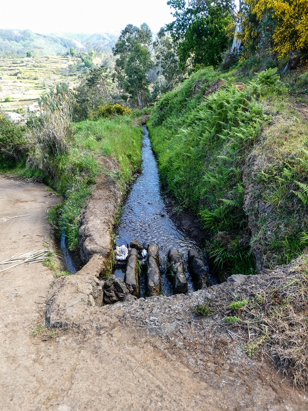 9 May 2019 Walk along the varied Levada Velha das Canhas — Start of the fine levada section, levada divider, side path running a little higher — photo 1