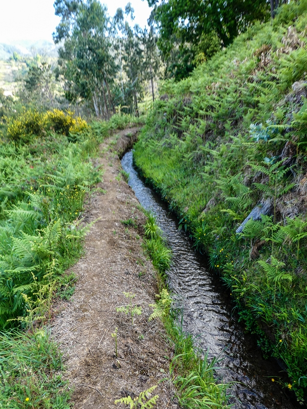 9 May 2019 Walk along the varied Levada Velha das Canhas — Start of the fine levada section, levada divider, side path running a little higher — photo 3