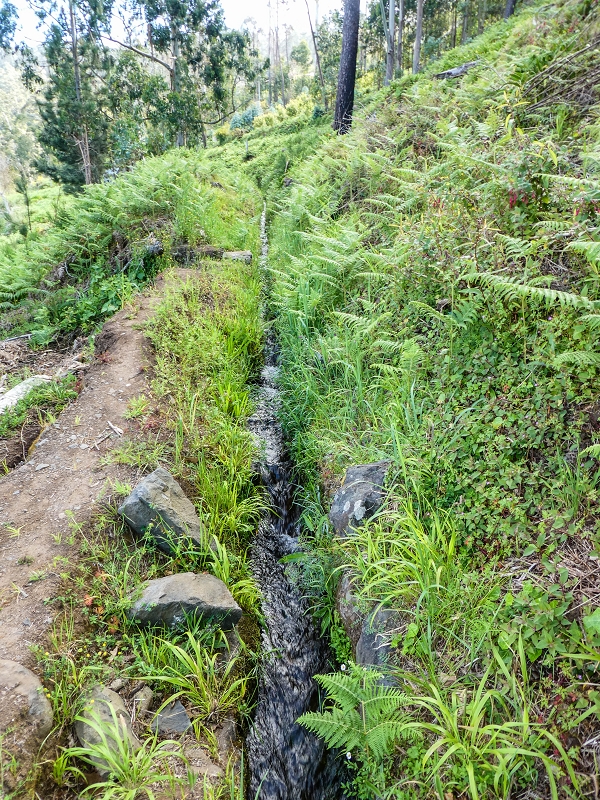 9 May 2019 Walk along the varied Levada Velha das Canhas — Start of the fine levada section, levada divider, side path running a little higher — photo 4