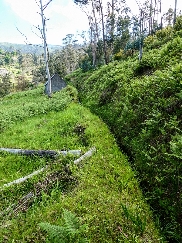9 May 2019 Walk along the varied Levada Velha das Canhas — Start of the fine levada section, levada divider, side path running a little higher — photo 5