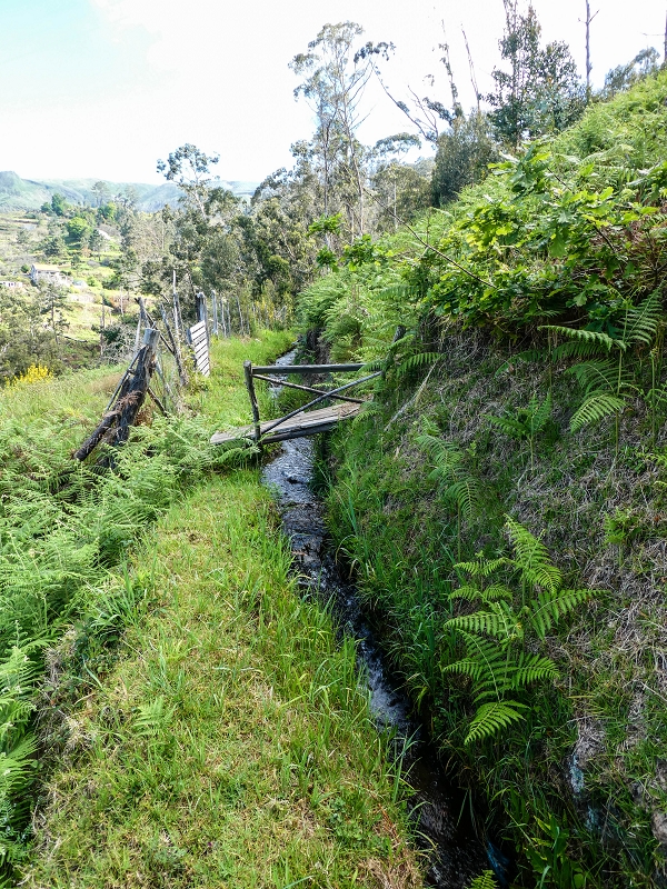9 May 2019 Walk along the varied Levada Velha das Canhas — Start of the fine levada section, levada divider, side path running a little higher — photo 6
