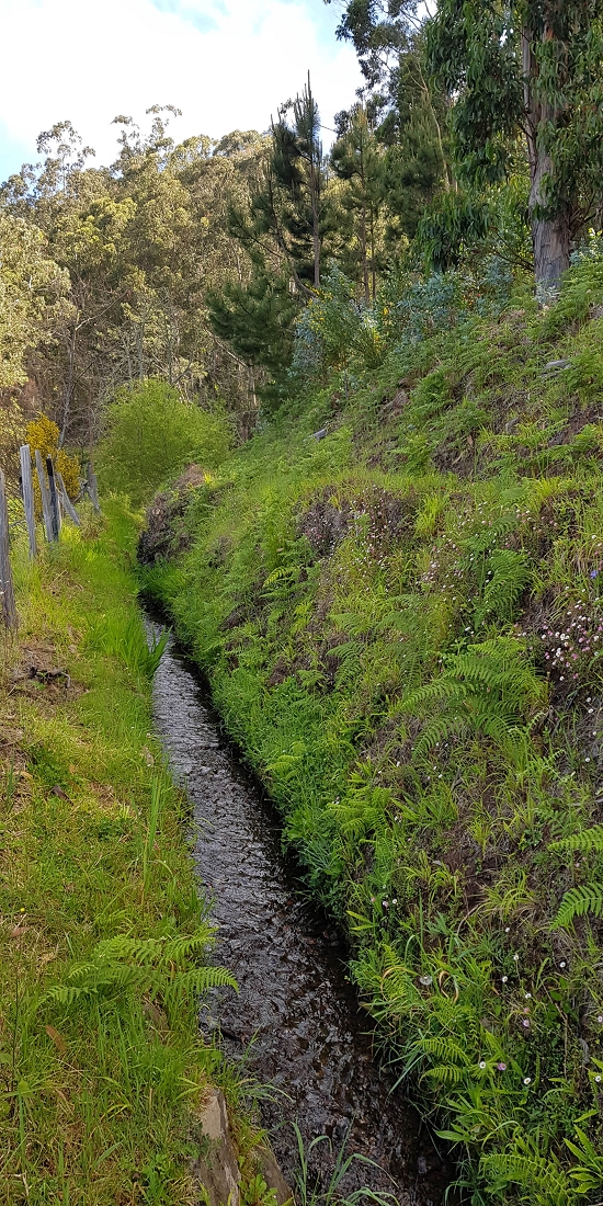 9 May 2019 Walk along the varied Levada Velha das Canhas — Start of the fine levada section, levada divider, side path running a little higher — photo 8