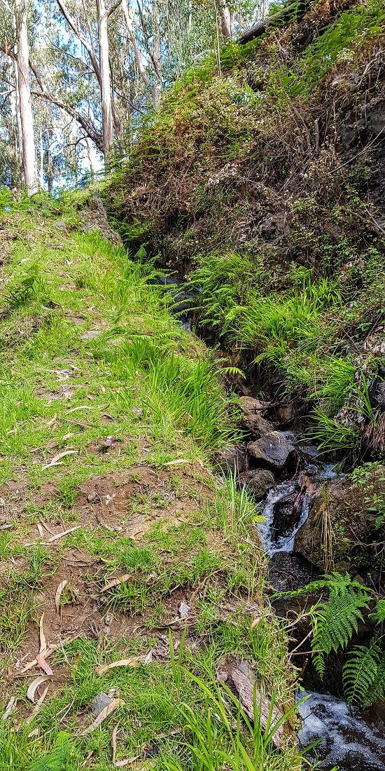 9 May 2019 Walk along the varied Levada Velha das Canhas — Start of the fine levada section, levada divider, side path running a little higher — photo 11