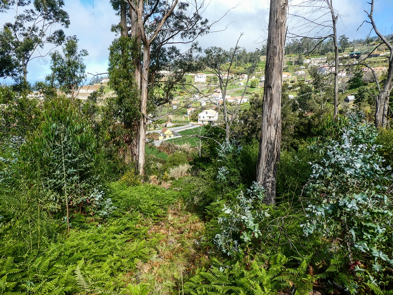 9 May 2019 Walk along the varied Levada Velha das Canhas — Start of the fine levada section, levada divider, side path running a little higher — photo 13