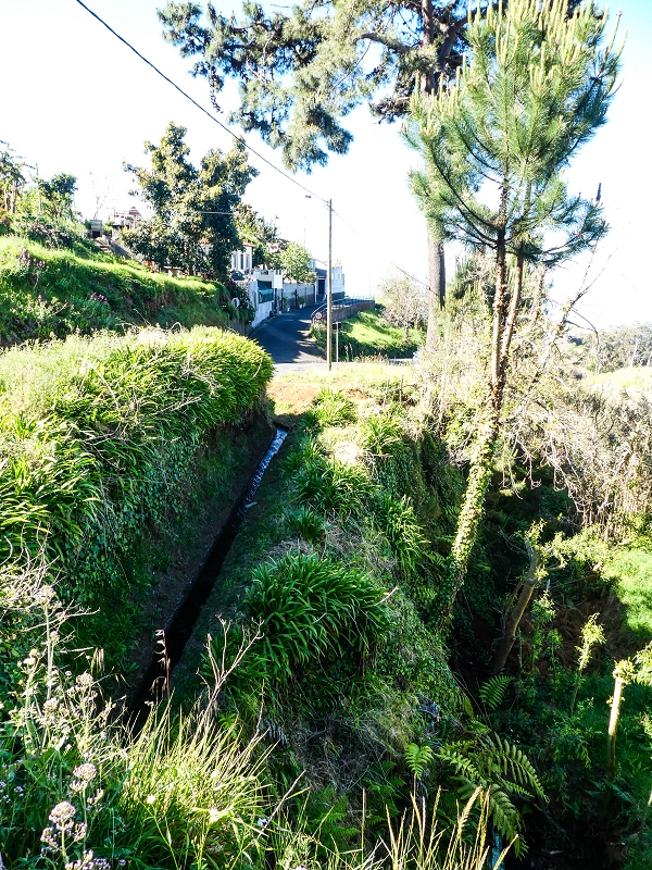 9 May 2019 Walk along the varied Levada Velha das Canhas — Access to the reservoir of the Levada Nova de Canhas — photo 5