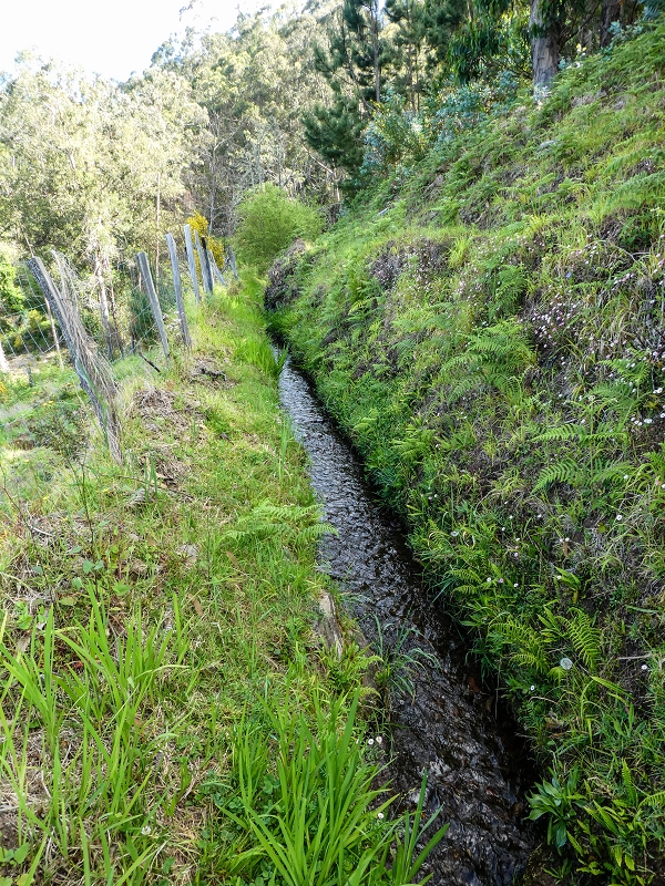 9 May 2019 Walk along the varied Levada Velha das Canhas — Start of the fine levada section, levada divider, side path running a little higher — photo 14