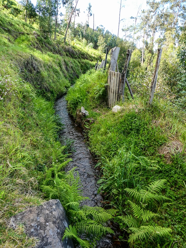 9 May 2019 Walk along the varied Levada Velha das Canhas — Start of the fine levada section, levada divider, side path running a little higher — photo 15