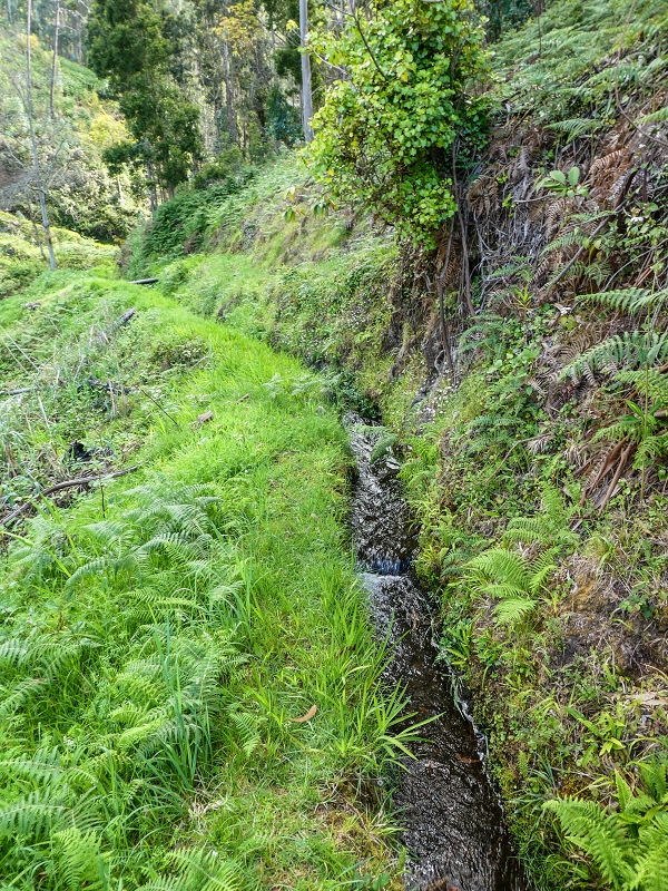 9 May 2019 Walk along the varied Levada Velha das Canhas — Start of the fine levada section, levada divider, side path running a little higher — photo 16