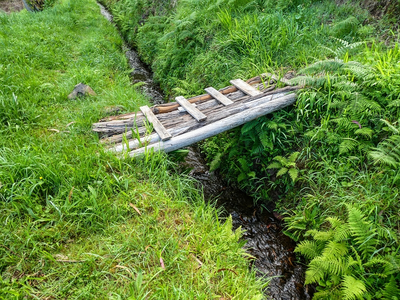 9 May 2019 Walk along the varied Levada Velha das Canhas — Start of the fine levada section, levada divider, side path running a little higher — photo 17