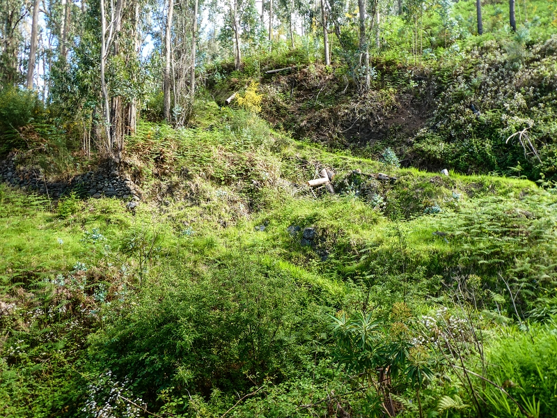 9 May 2019 Walk along the varied Levada Velha das Canhas — On through the wood and finally up to the concrete track — photo 2