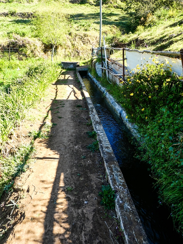 9 May 2019 Walk along the varied Levada Velha das Canhas — Access to the reservoir of the Levada Nova de Canhas — photo 6