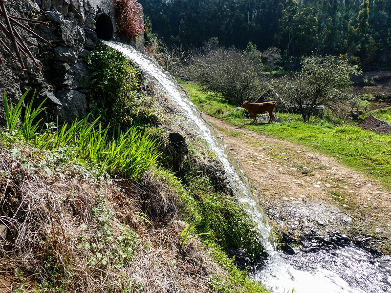 9 May 2019 Walk along the varied Levada Velha das Canhas — Double waterfall and impassable passage, access to the levada divider — photo 3
