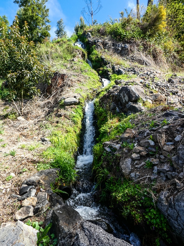 9 May 2019 Walk along the varied Levada Velha das Canhas — Double waterfall and impassable passage, access to the levada divider — photo 4