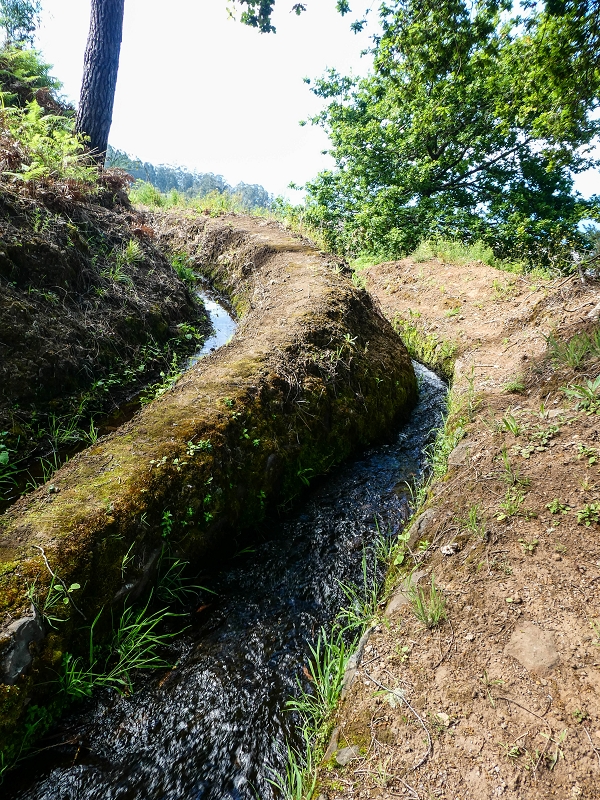 9 May 2019 Walk along the varied Levada Velha das Canhas — Double waterfall and impassable passage, access to the levada divider — photo 5