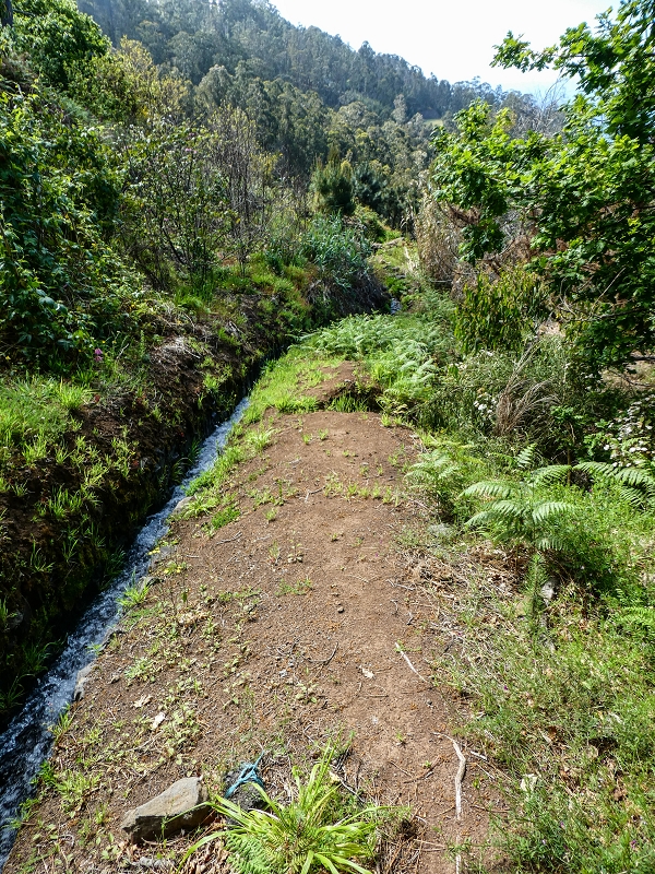 9 May 2019 Walk along the varied Levada Velha das Canhas — Double waterfall and impassable passage, access to the levada divider — photo 6