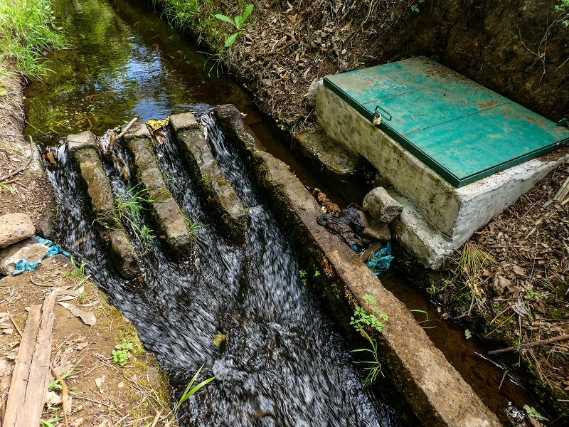 9 May 2019 Walk along the varied Levada Velha das Canhas — Double waterfall and impassable passage, access to the levada divider — photo 8
