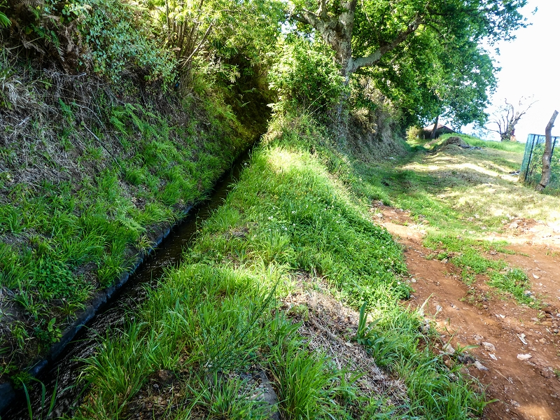 9 May 2019 Walk along the varied Levada Velha das Canhas — Double waterfall and impassable passage, access to the levada divider — photo 9