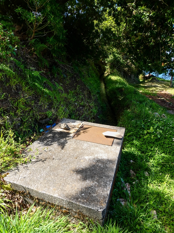 9 May 2019 Walk along the varied Levada Velha das Canhas — Intermediate reservoir — photo 4
