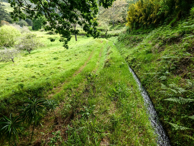 9 May 2019 Walk along the varied Levada Velha das Canhas — Through the wood and over meadows to the first stream crossing — photo 8