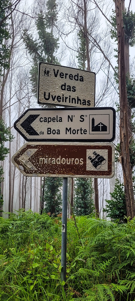09.06.2024 Auf dem alten CR23 zur Capela do Cabo und über die Levada Nova zurück — Auf dem CR23 zur Capela in Cabo — Foto 1
