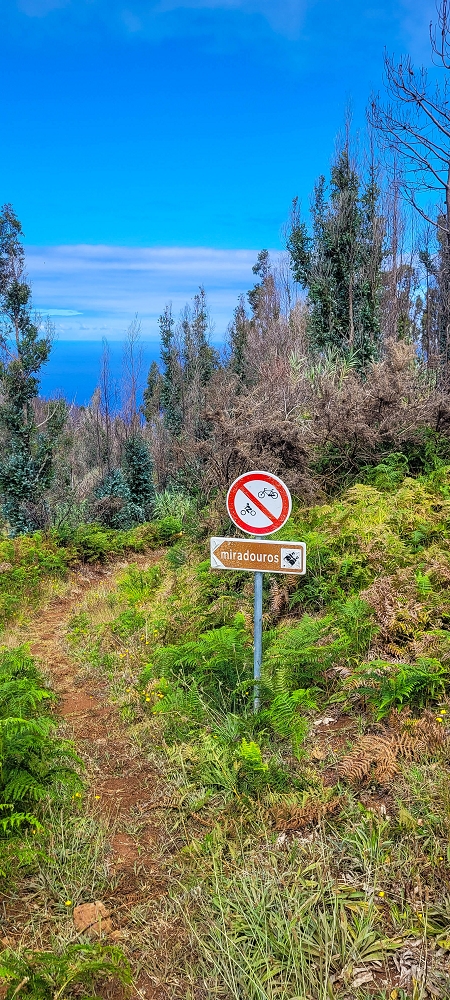 09.06.2024 Auf dem alten CR23 zur Capela do Cabo und über die Levada Nova zurück — Auf dem CR23 zur Capela in Cabo — Foto 14